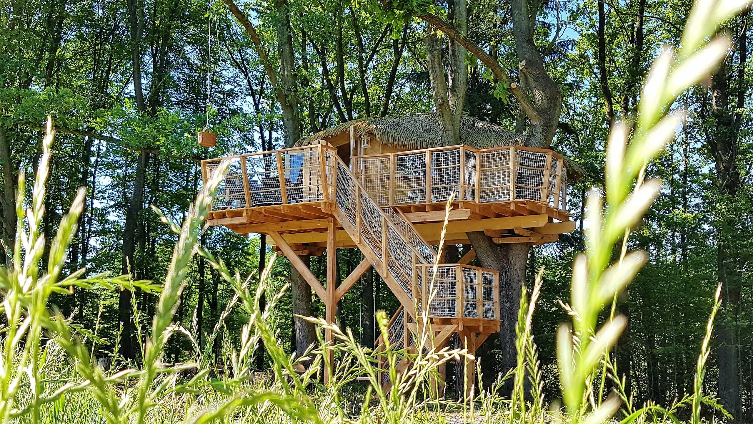 Resort Green Valley — fotografie 3